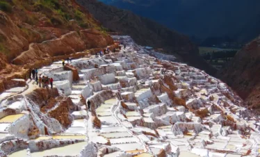 Maras Moray