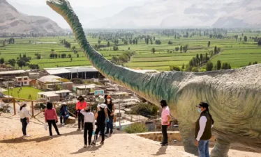 Valle de Majes – Toro Muerto