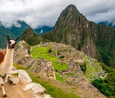 machu-picchu-llama machu-picchu-llama